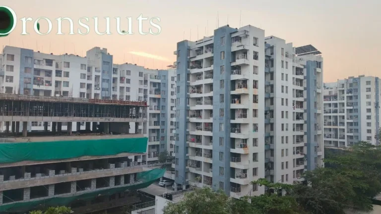 Oronsuuts Explained: Meaning, Housing System & Online Risks