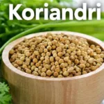 Koriandri Explained: Benefits, Nutrition, Uses and Complete Health Guide