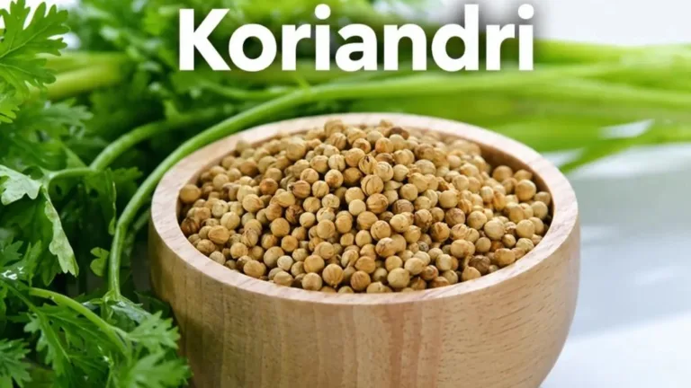 Koriandri Explained: Benefits, Nutrition, Uses and Complete Health Guide