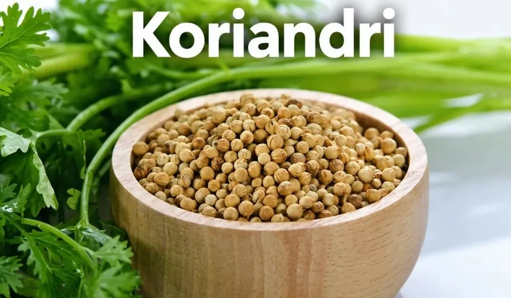 Koriandri Explained: Benefits, Nutrition, Uses and Complete Health Guide